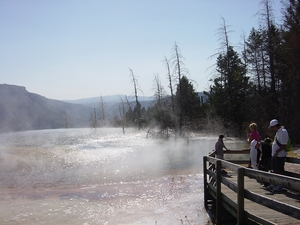 DSC04207