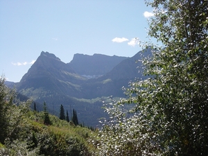 DSC04217