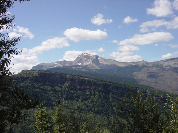 DSC04218