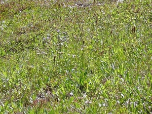 DSC04220