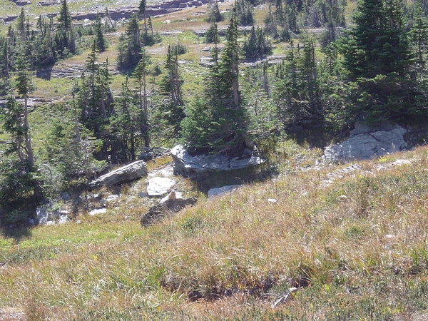 DSC04221