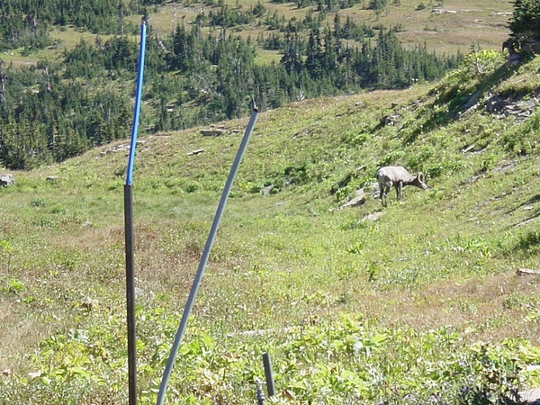 DSC04228