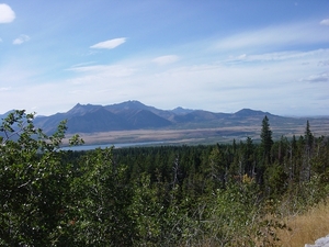 DSC04233