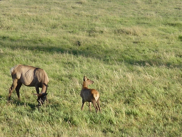 DSC04097
