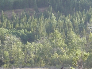 DSC04237