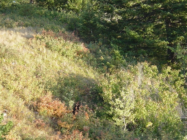 DSC04238