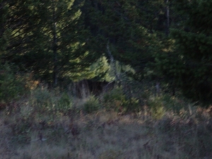 DSC04239