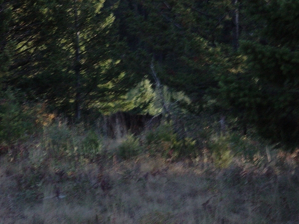 DSC04239