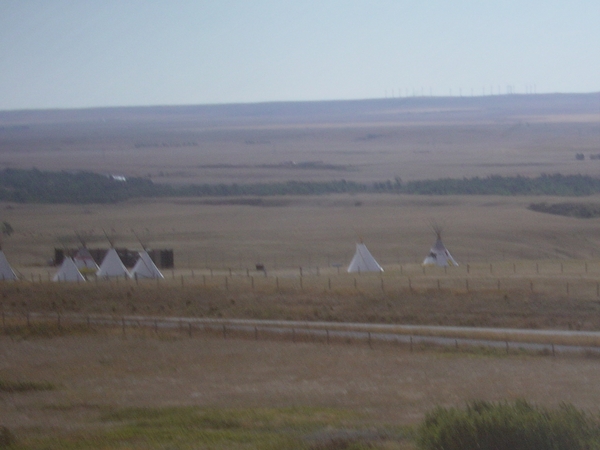 DSC04244