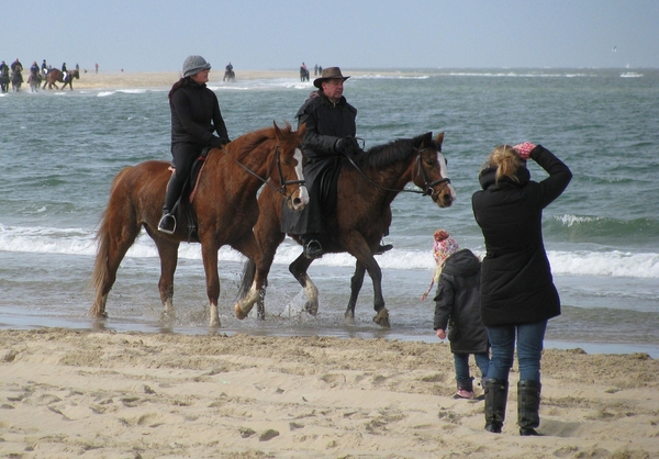 zeeland strand zee