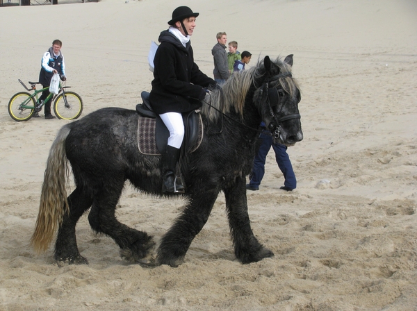 zeeland strao