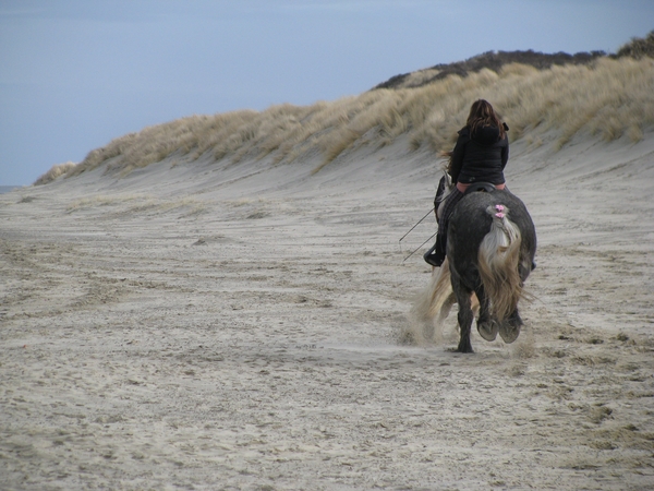 zeeland strao