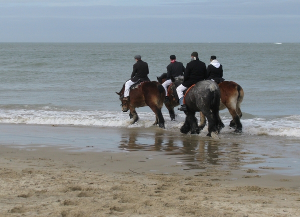 zeeland strao
