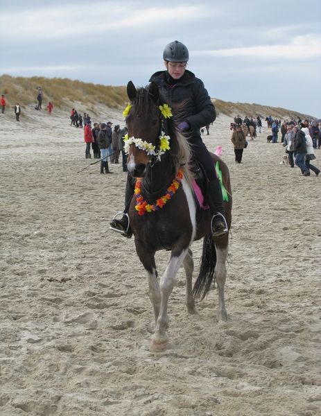 zeeland strao
