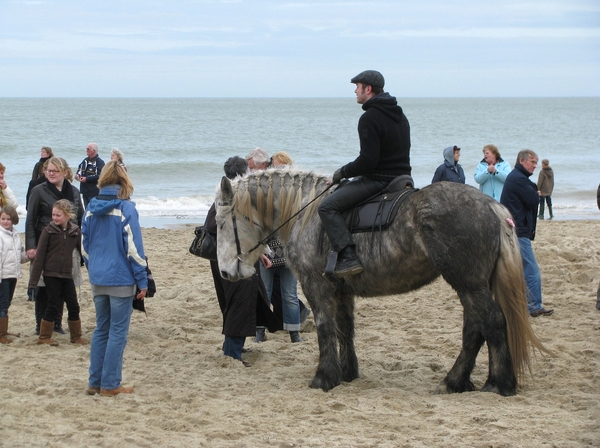 zeeland strao