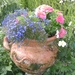 01.08.2009a/lobelia en knolbegonia