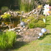 vijver maart 2011