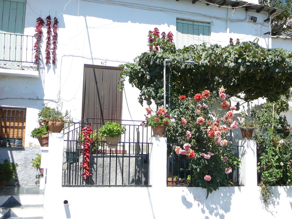 Alpujarras / Granada