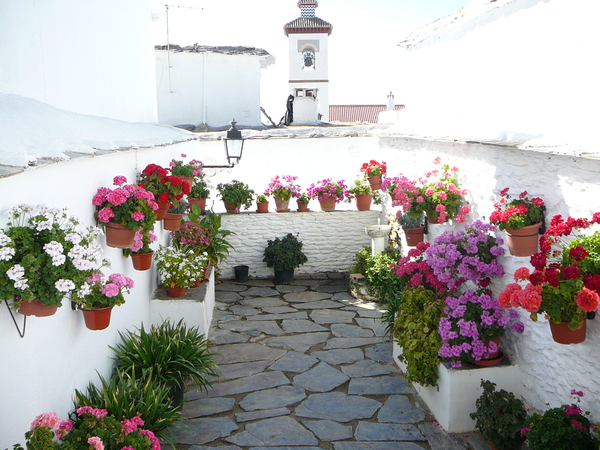 Portugos / Alpujarras / Granada