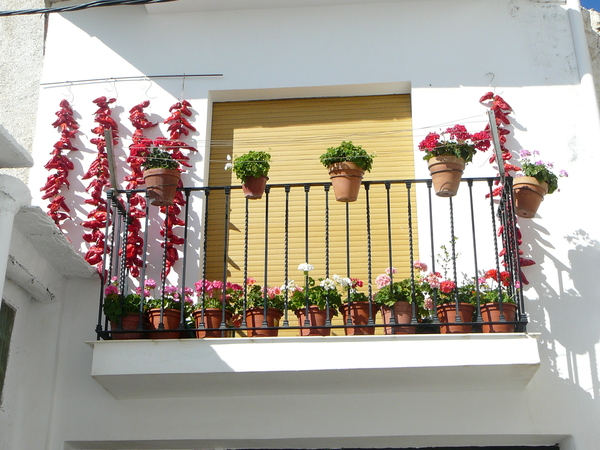 Alpujarras / Granada