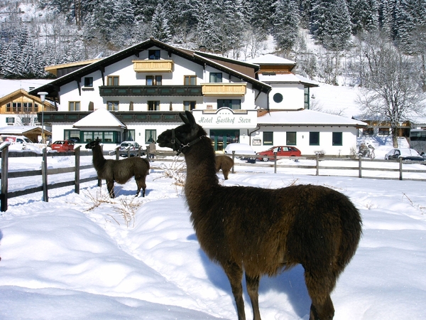 Tirol mailgroep reizen 2010