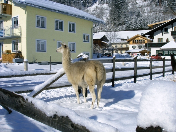 Tirol mailgroep reizen 2010