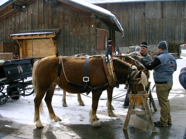 Tirol mailgroep reizen 2010