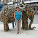 de zoo van antwerpen
