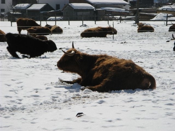 Tirol mailgroep reizen 2010