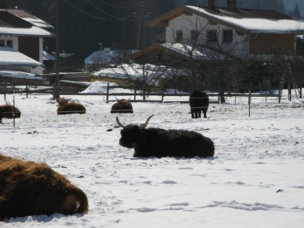 Tirol mailgroep reizen 2010