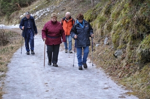 Arzl 2010 215