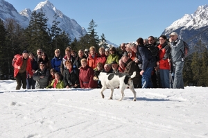 Arzl 2010 387