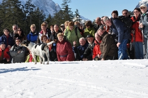 Arzl 2010 388