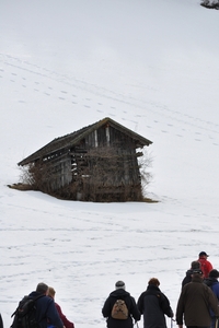 Arzl 2010 777