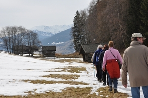 Arzl 2010 779