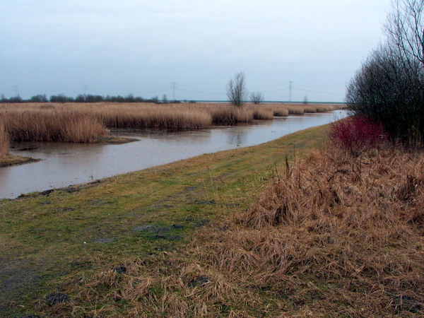 Oosterschelde..