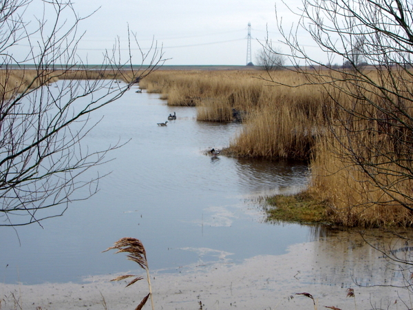 Oosterschelde..