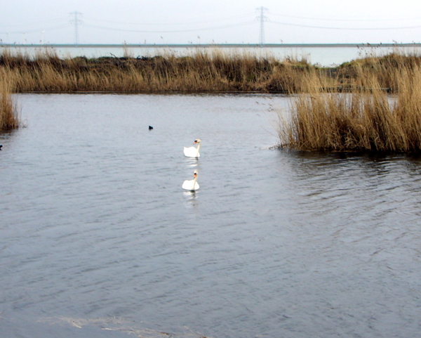 Oosterschelde..