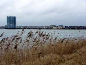 Binnenschelde met uitzicht op de oever...