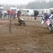 cross vbm geetbets