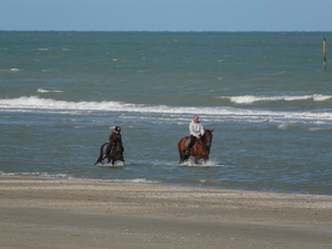 strand&Zee 077
