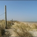 duinen prikkeldraad1 (2)