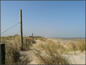 duinen prikkeldraad1 (2)