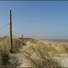 duinen prikkeldraad1