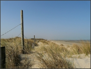 duinen prikkeldraad1