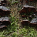dsc00425