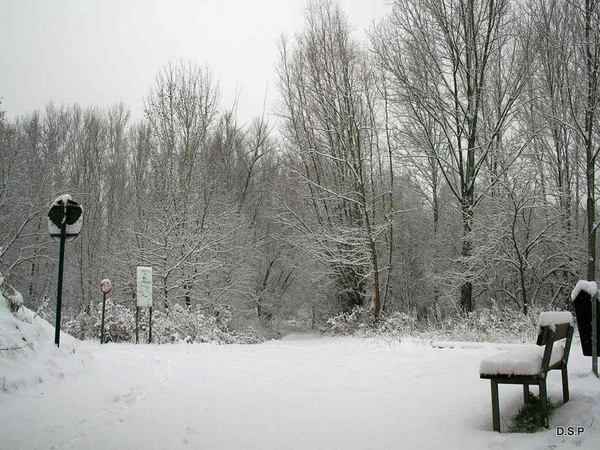 Wellemeersen denderleeuw