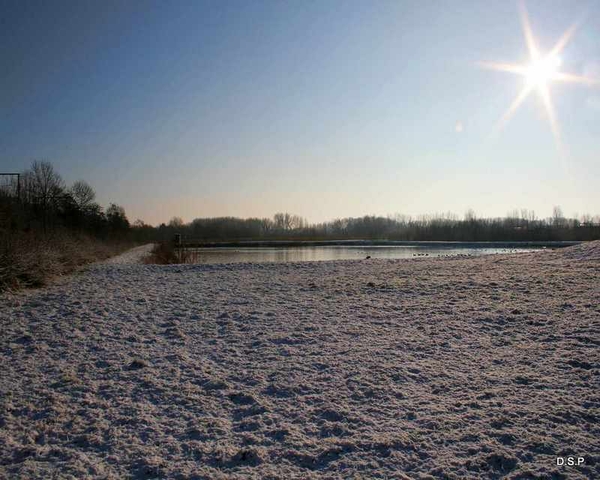 Waterreservaat affligem