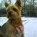 winterbeelden 02-01-2010_ 037