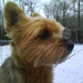 winterbeelden 02-01-2010_ 072